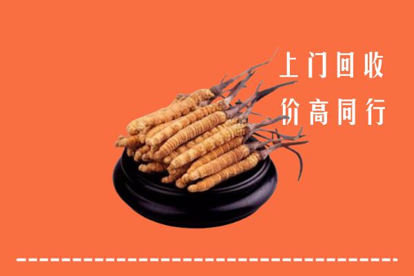 高价求购：版纳回收散虫草