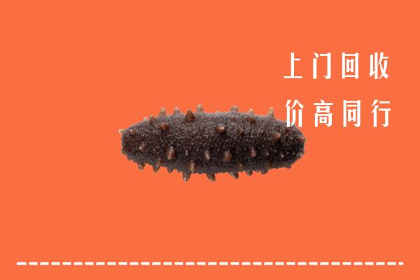 版纳回收海参