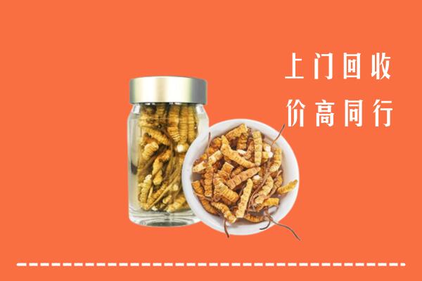 版纳回收冬虫夏草