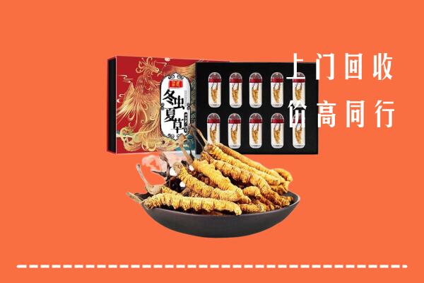 版纳回收虫草
